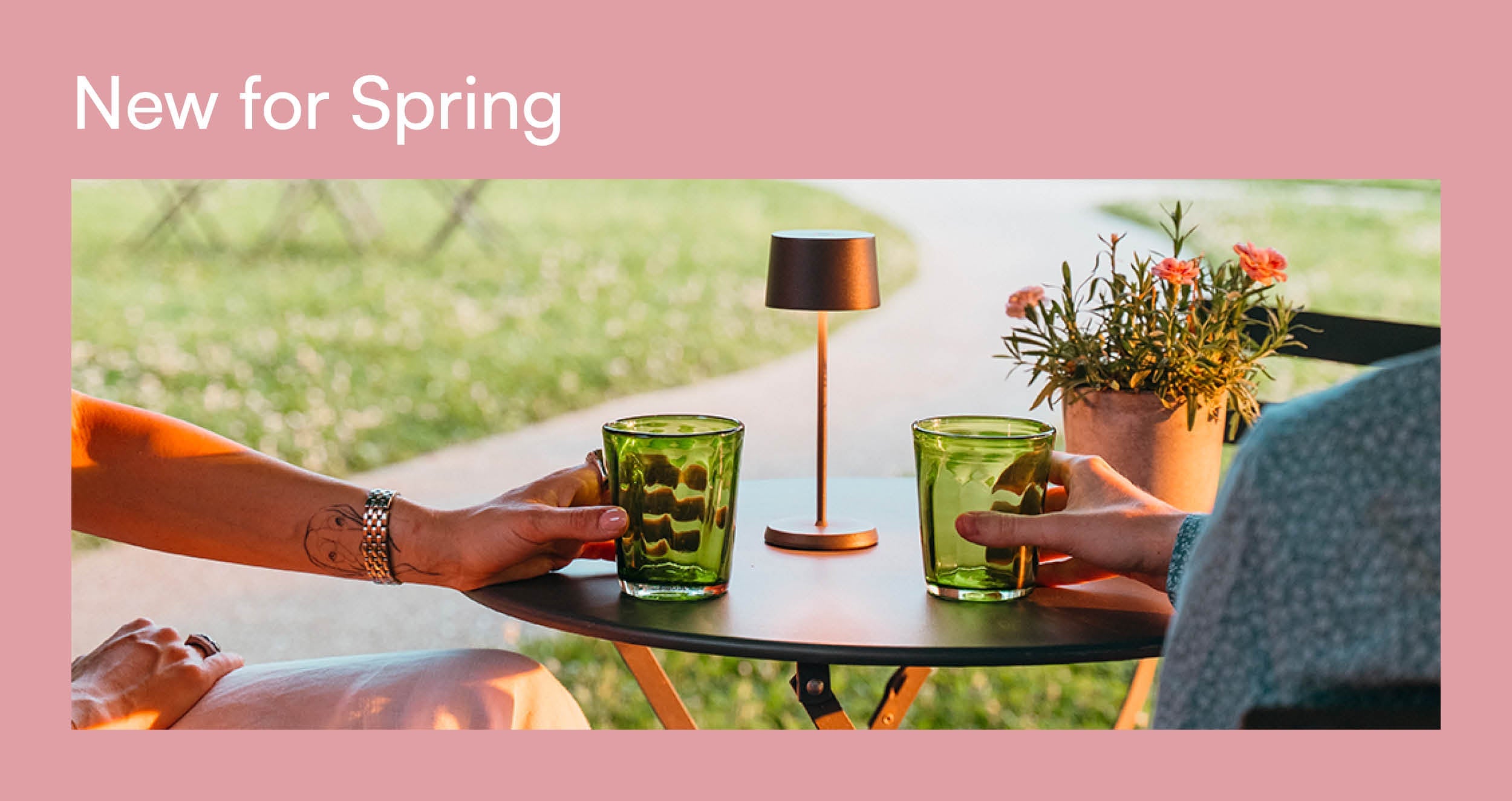 Just landed for Spring