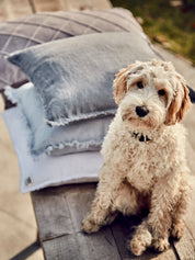 Misty Frayed Edge Linen Cushion Cover