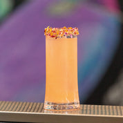 SAM Collins Highball Set of 4