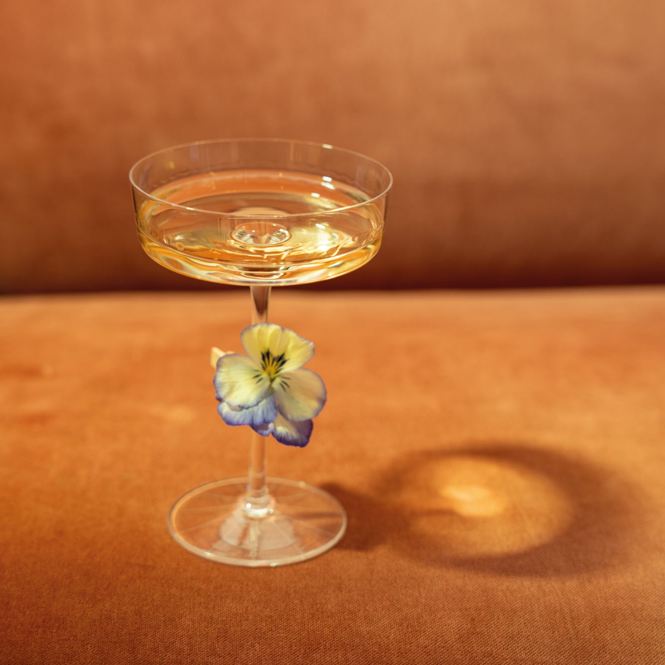 3._COUPETTE_MARTINI_small_17abad35-57b0-4140-9f91-52f28fde8fa5.jpg