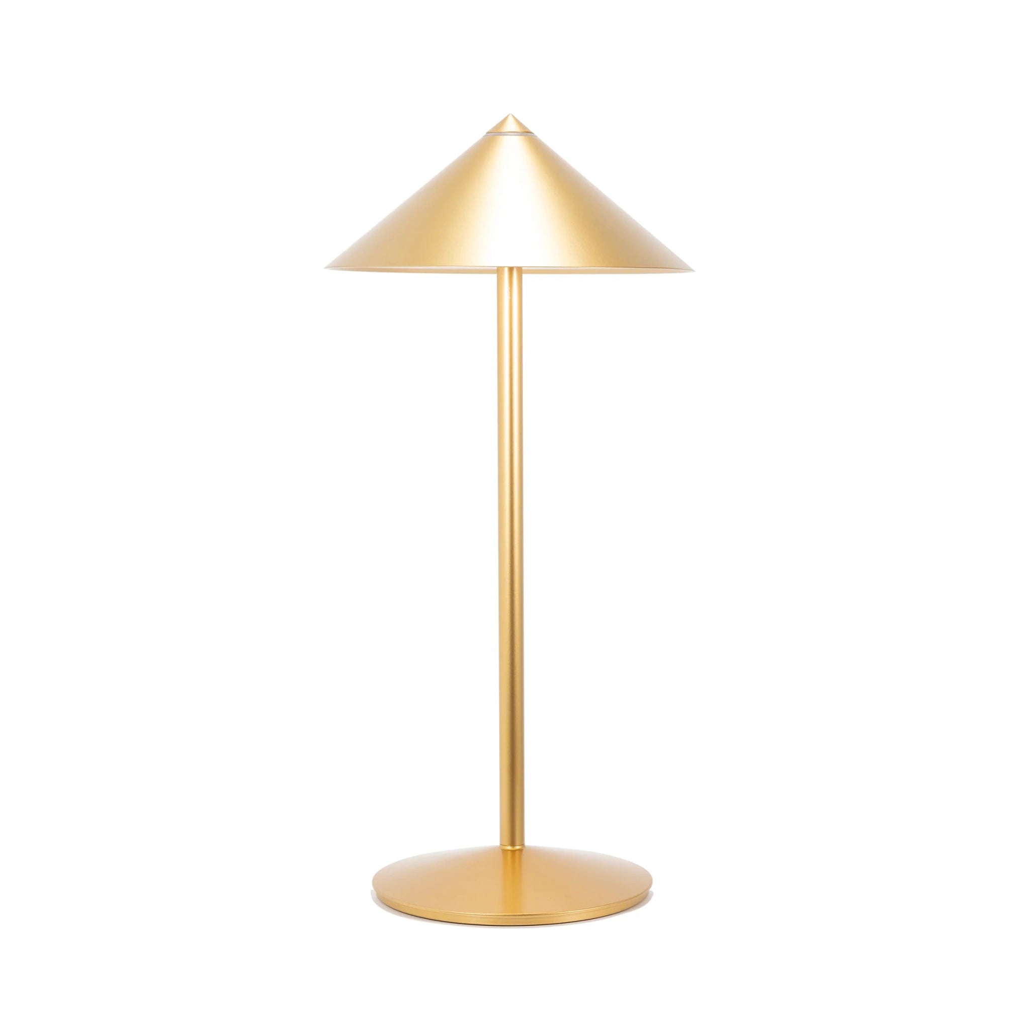 PINA L Desk Lamp