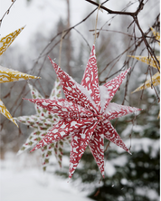 Hand block printed Big Star