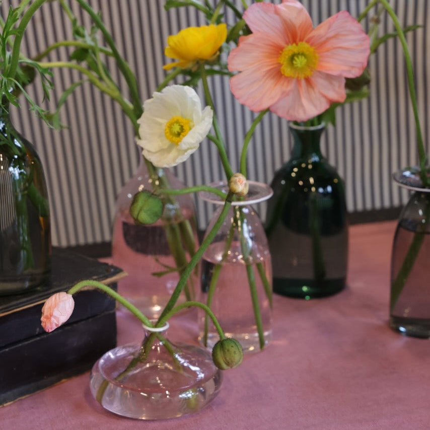 T1_00752.jpg