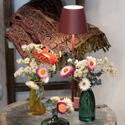 POLDINA PRO Portable Lamp - BORDEAUX