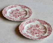 Vintage Bristol Plates by Crown Ducal - Set 2
