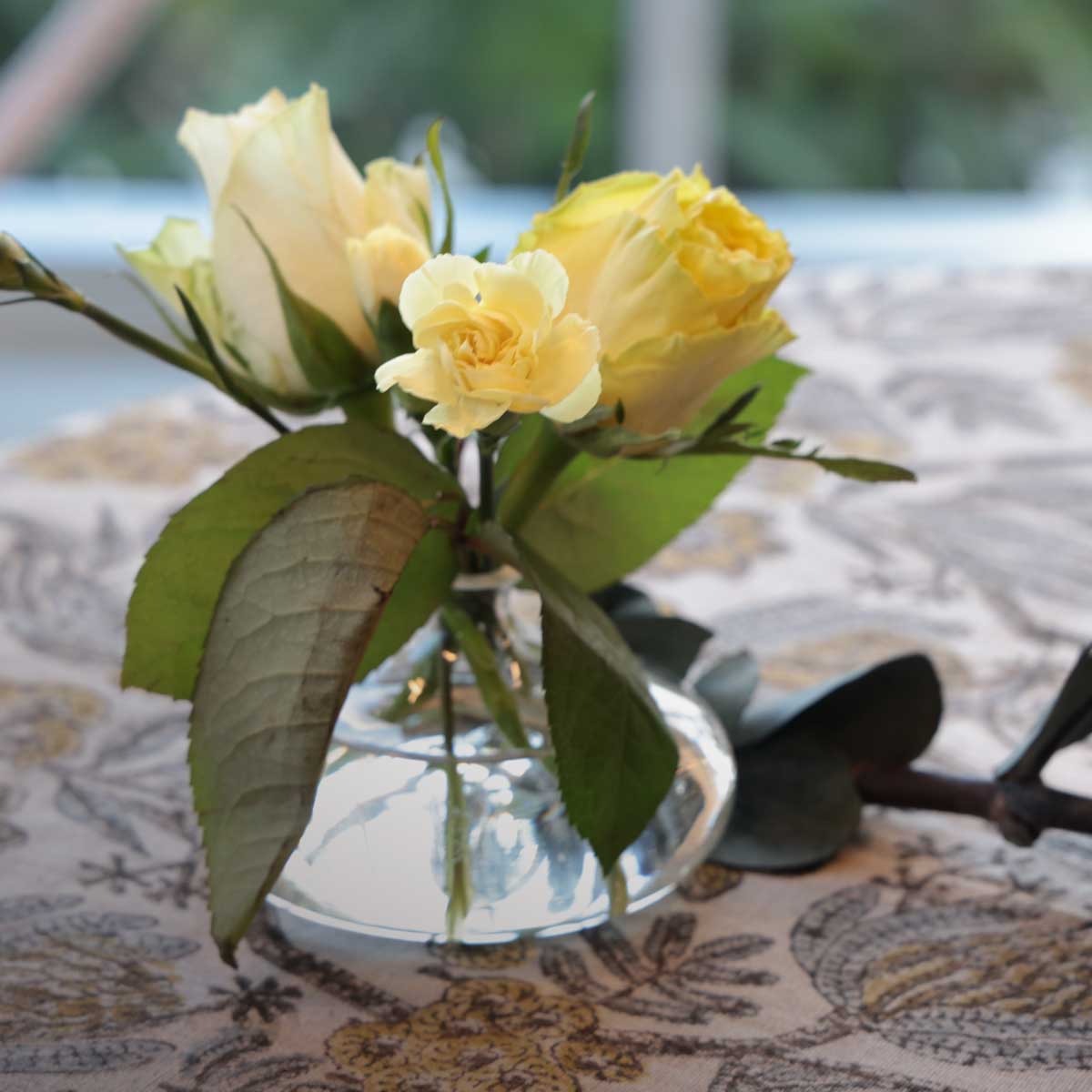 TYS_LIVING_0625_1288f7d0-f4f0-4d16-ad11-fb086e3bd782.jpg
