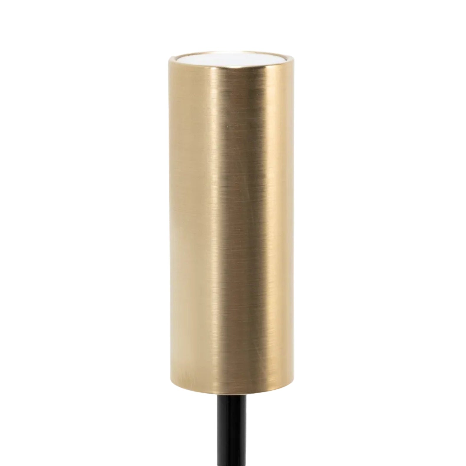 CAROLINA Portable Lamp - Glossy Black & Brushed Brass