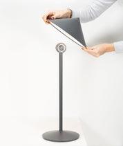 PINA L Desk Lamp - PRE ORDER FOR SPRING