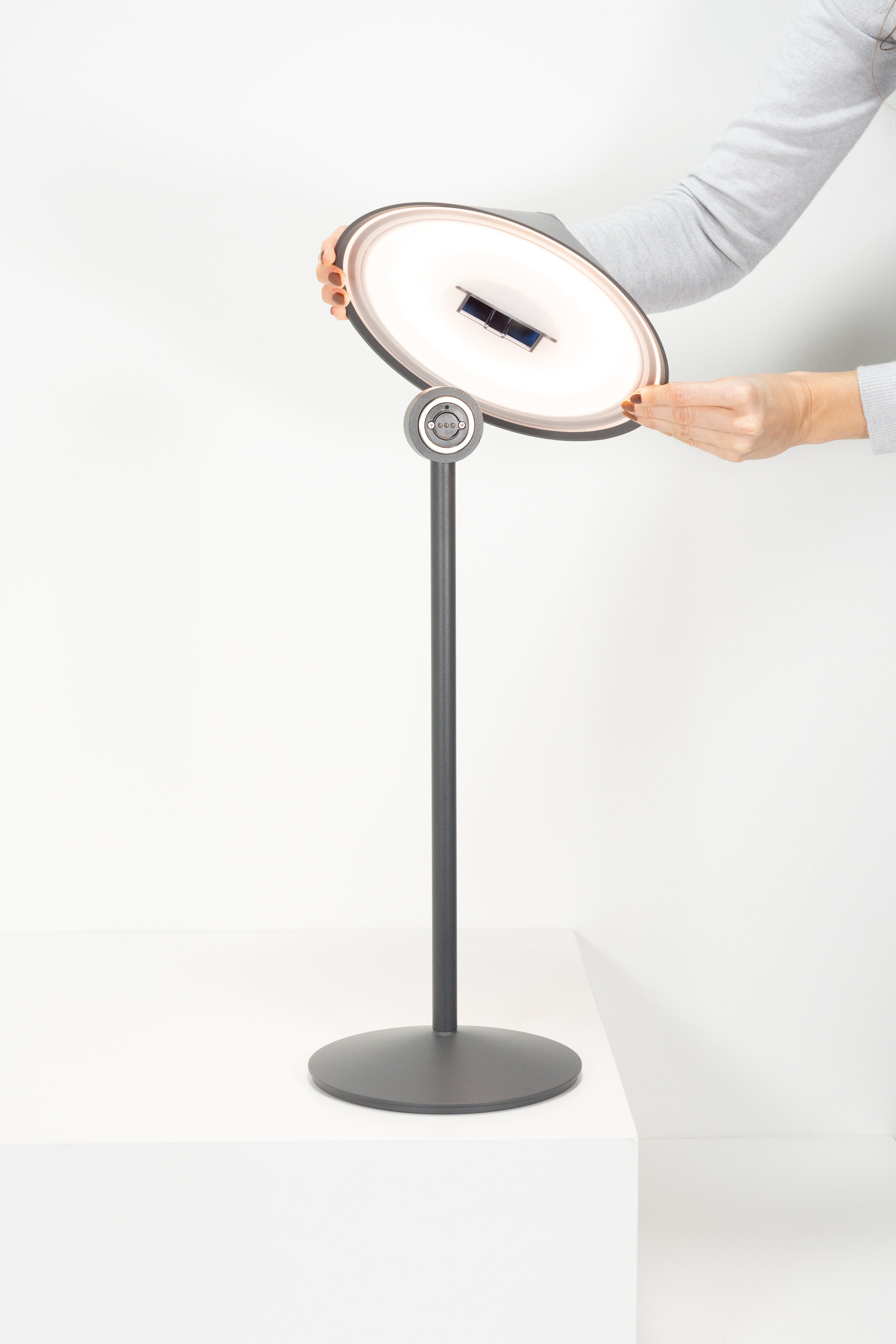 PINA L Desk Lamp - PRE ORDER FOR SPRING