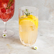 Margherita Highball Set of 4