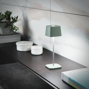 OFELIA Pro Portable Table Lamp