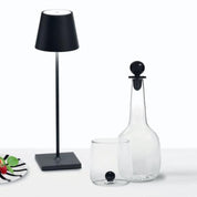 POLDINA PRO Portable Lamp