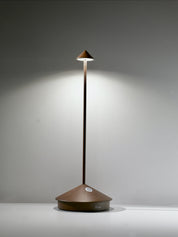 PINA Pro Portable Table Lamp - CORTEN