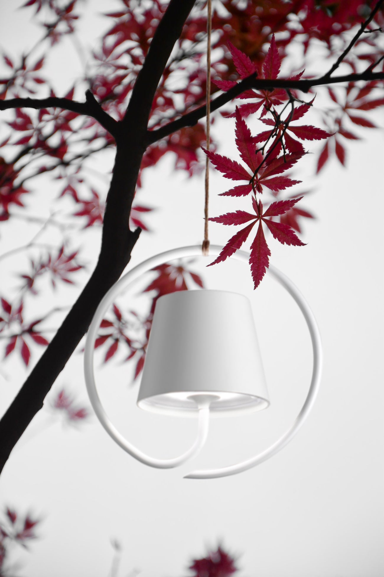 POLDINA SUSPENSION Pro Portable Lamp