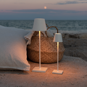 POLDINA MICRO Pro Portable Table Lamp